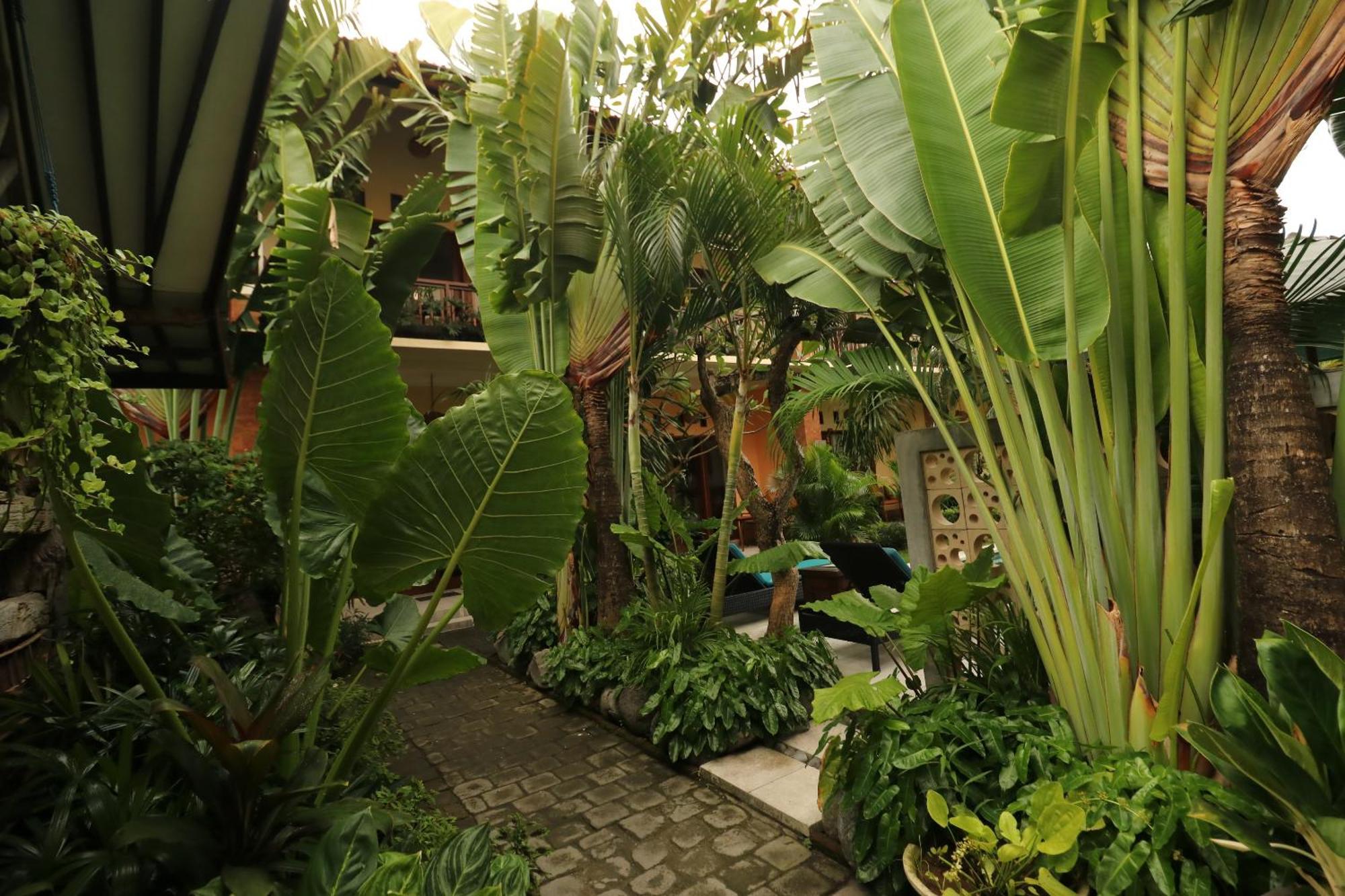 Mina Pelasa Hotel เลอกีอัน ภายนอก รูปภาพ