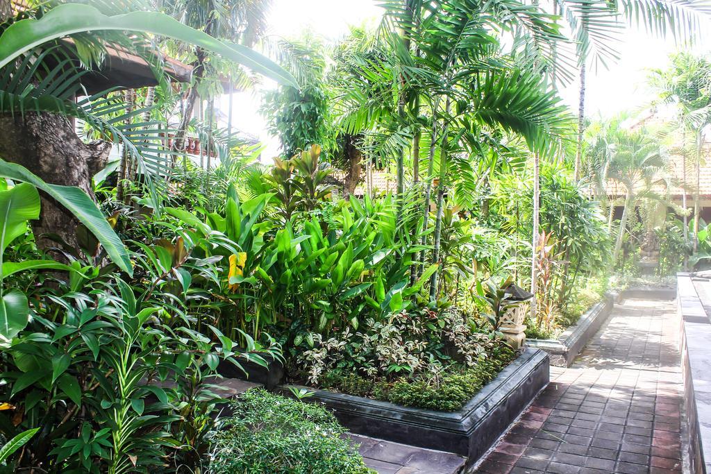 Mina Pelasa Hotel เลอกีอัน ภายนอก รูปภาพ